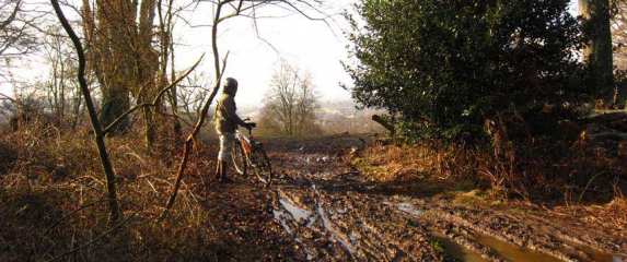 Epping Forest: A muddy retreat