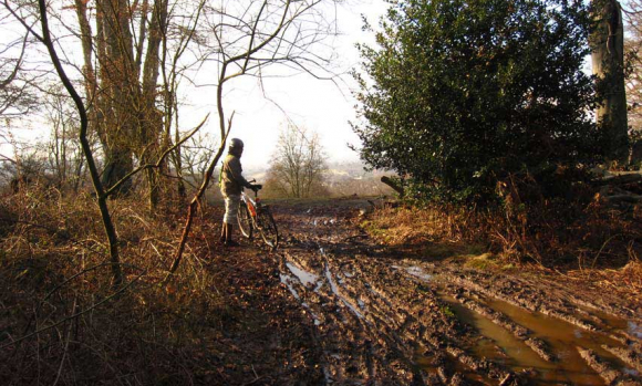 Epping Forest: A muddy retreat